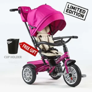 Bentley Trike Fuchsia Pink CUP HOLDER GIFT PINK