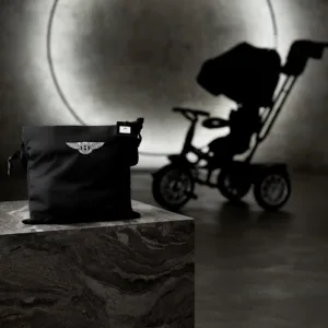 PRE-ORDER! Bentley Trike Protective Cover